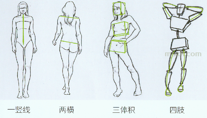 以 &ldquo;一竖二横三体积四肢&rdquo; ，理解人物动态速写
