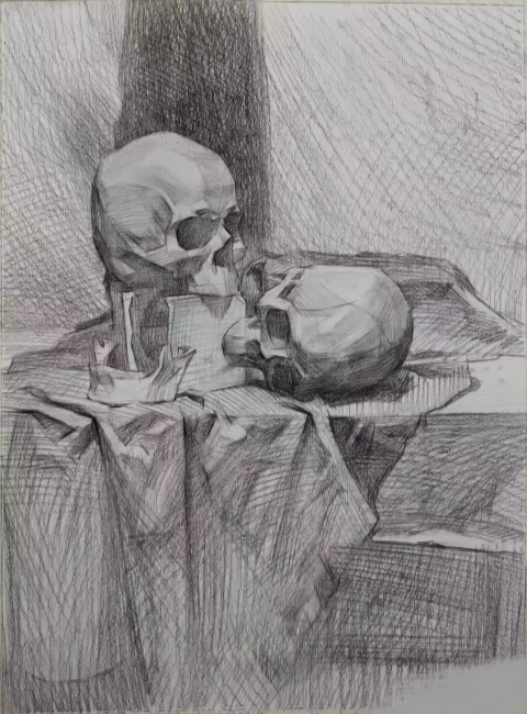头骨静物素描写生步骤分析