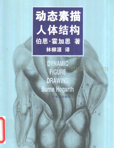 动态素描人体结构（解剖）电子书PDF下载