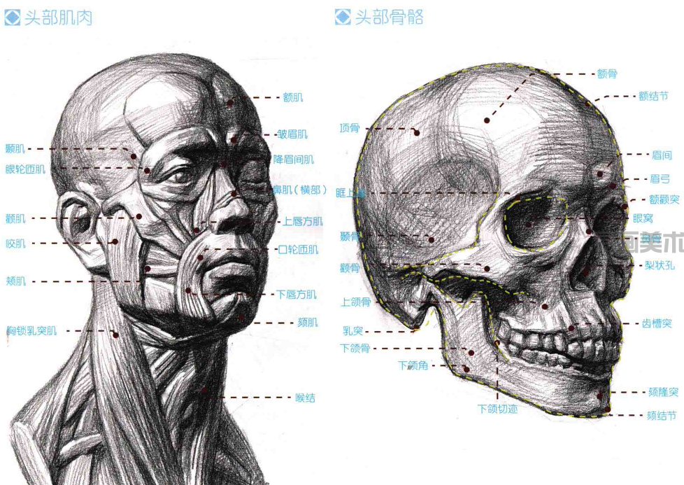 13502ef4d51de496aa205e9ba94cd56c.png