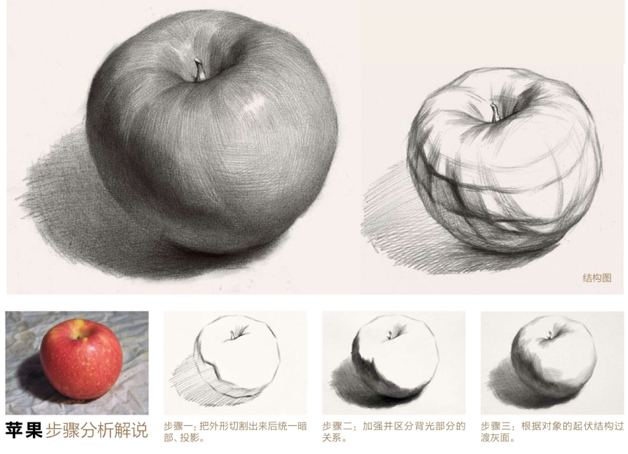 素描起步系列十二│单体静物素描